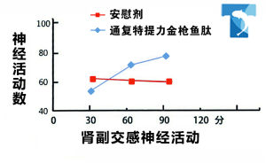 腎副交感神經活性