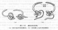 登桿腳扣