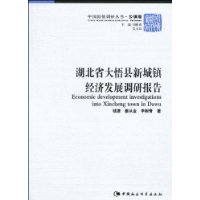 湖北省大悟縣新城鎮經濟發展調研報告