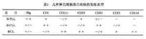 （圖）幼淋巴細胞白血病