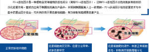 PS-A多活因子祛斑修復技術