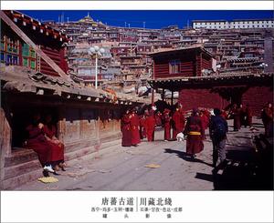 唐蕃古道在西藏被稱為“迎佛路”