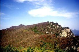 王順山國家森林公園