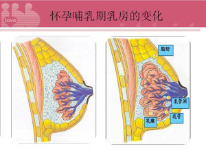 準媽媽乳房管理