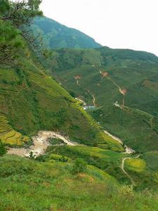 中良子自然村[雲南臨滄雲縣大朝山西鎮文物村中良子自然村]