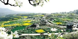 Cangxi County