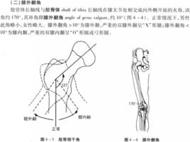 膝外翻角