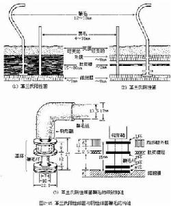 革蘭氏陰性細菌