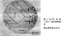 Si-Fe單晶的磁疇結構