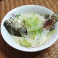 鯽魚冬瓜湯