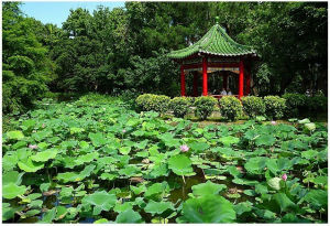 台北植物園