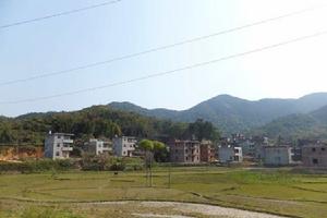 東園村[福建廈門市翔安區新店鎮東園村]