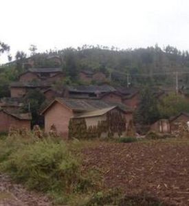 高松樹村