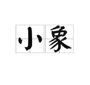 小象[漢語詞語]