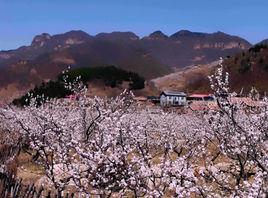 北寨村[河南省洛陽市伊川縣彭婆鎮北寨村]