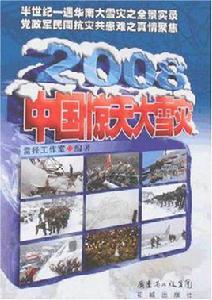 2008中國驚天大雪災