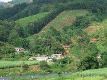 橋頭自然村[雲南省德宏盈江縣那邦鎮那邦村委橋頭自然村]