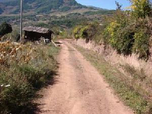 甲民村通村道路