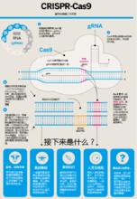 crispr/cas9