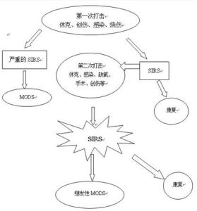 多器官功能障礙綜合徵