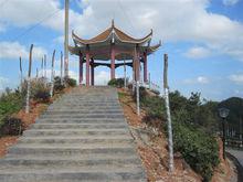 南山公園景點