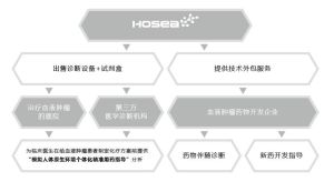 HOSEA提供的主要服務