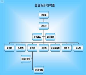 福建中源醫藥有限公司組織結構圖