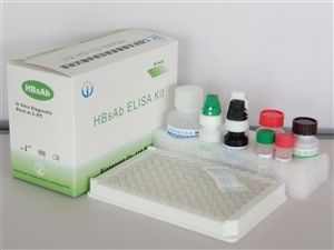 B肝病毒表面抗原（HBsAg）診斷試劑盒