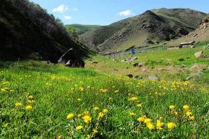 黃花溝旅遊區