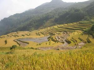 麻栗新寨村