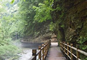 靈芝湖森林公園