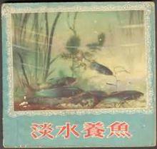 《淡水養魚》