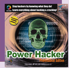 電網黑客（Power Hacker）。