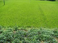 中東6隊自然村 中東6隊自然村