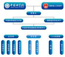 中心組織機構