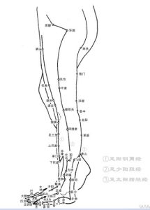 直腸穴