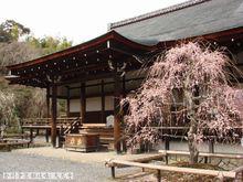 天龍寺 日本京都