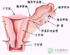 卵巢發育不全性不孕