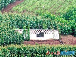 塘邊村[四川省隆昌縣桂花井鄉塘邊村]