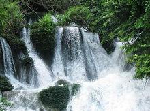 花魚洞國家森林公園