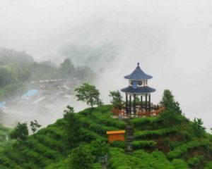 青島茶山景區