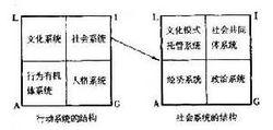 帕森斯，T.