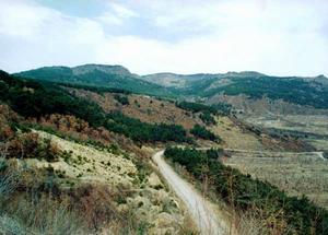 天佛指山國家級自然保護區