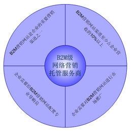 B2M[面向市場行銷的電子商務企業]