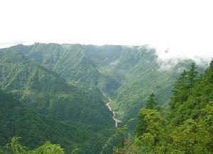 四十里山