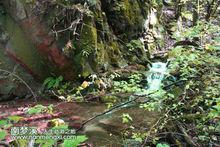 森林 瀑布 風景 山水 溪水 小河 山峰 雪景