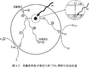 催化機制