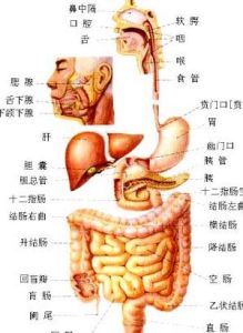 消化道潰瘍