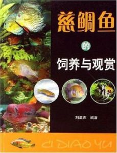 慈鯛魚的飼養與觀賞