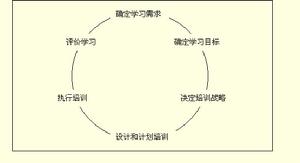 系統型培訓模式